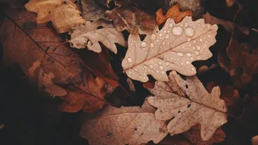 Vine toamna! Vremea se va schimba radical. Anunțul făcut de meteorologi