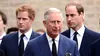 Regele Charles a REFUZAT chimioterapia, deși sănătatea lui se degradează. Ce se întâmplă acum la palatul Buckingham