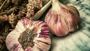 Top 5 alimente care detoxifică corpul. Sunt perfecte după Paște. Efectele se simt rapid