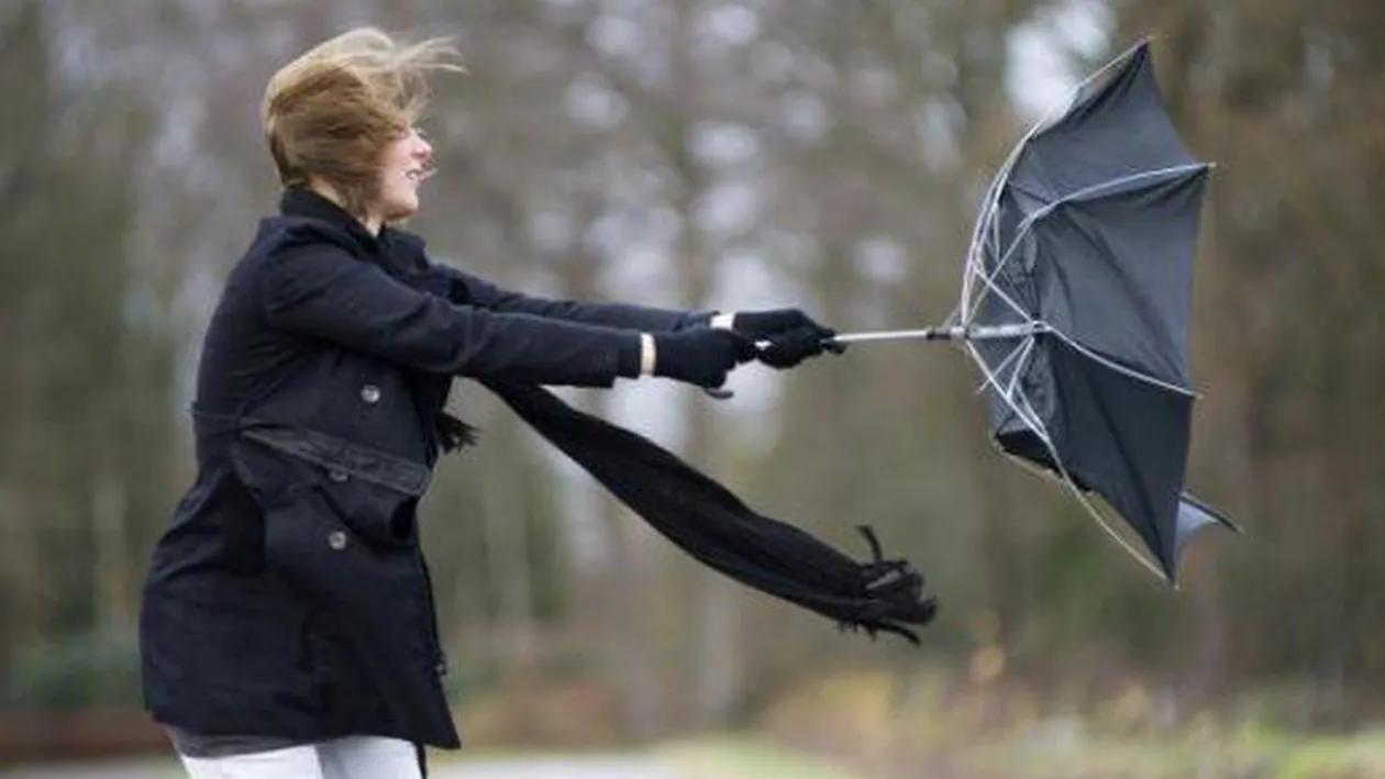 Cod galben de vânt puternic în şase judeţe ale tării!