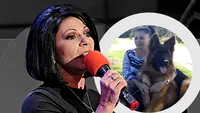 Elena Cârstea, dezvăluiri tulburătoare din America, la trei ani de când a fost la un pas de moarte, după ce a suferit un AVC! ”Am zis: GATA!” Transformarea incredibilă
