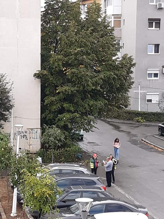 Angajaţii RAADPFL Craiova au ieșit la furat cu Mercedesul! Imaginile care i-au dat de gol