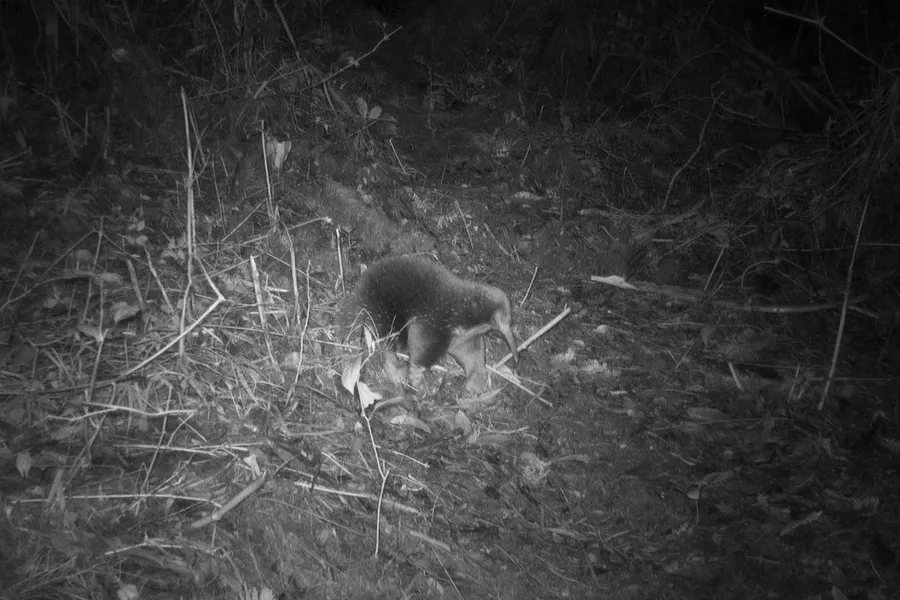 Sursa foto: Profimedia Images