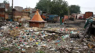 Dana Rogoz, impresionata pana la lacrimi de India!