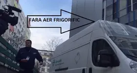 Galerie foto - poza 2