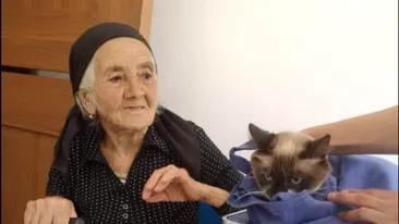 Gestul emoţionant al unei bătrâne. Cum a fost surprinsă bunica alături de pisica ei