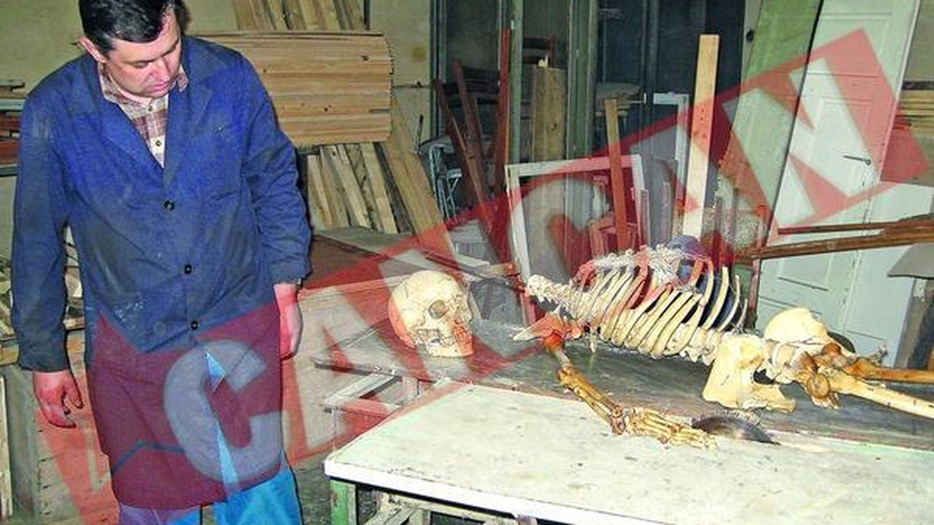 Scheletul Ionica a fost scos la pensie