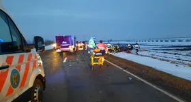 Galerie foto - poza 1