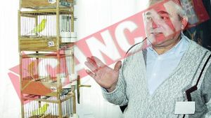 Are cei mai guralivi canari din Tara