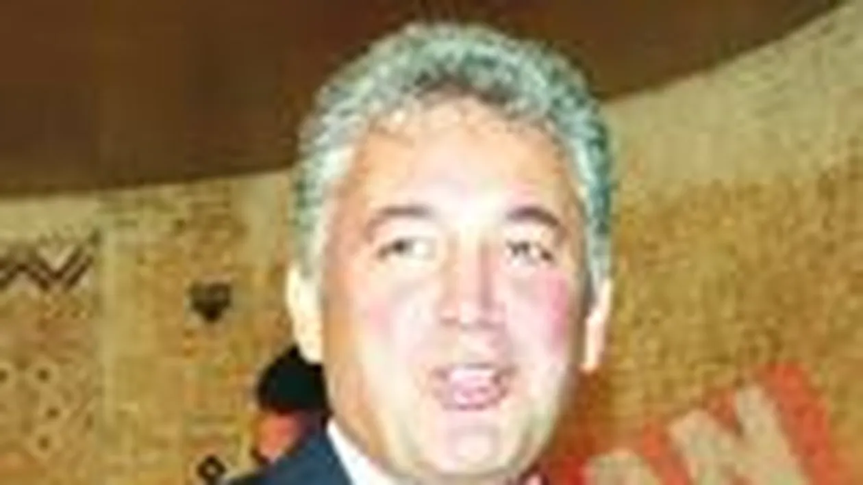 Elena Udrea sare in apararea lui Videanu