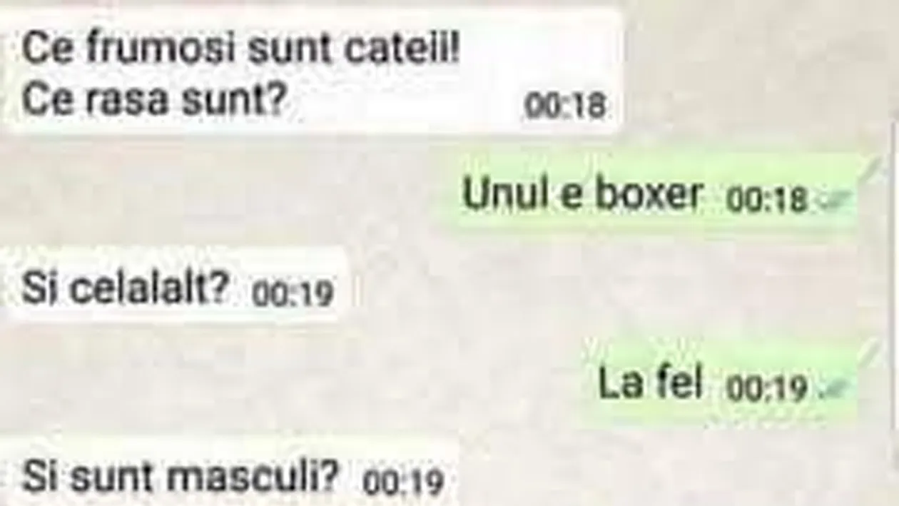 BANCUL ZILEI | Ce frumoși sunt cățeii. Ce rasă sunt?