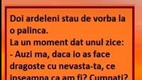 BANC | Doi ardeleni stau de vorbă la o pălincă