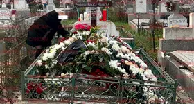 Galerie foto - poza 2