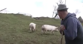 Galerie foto - poza 3