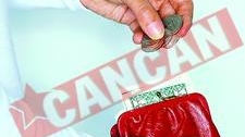 Cat vom plati pentru un euro la vara