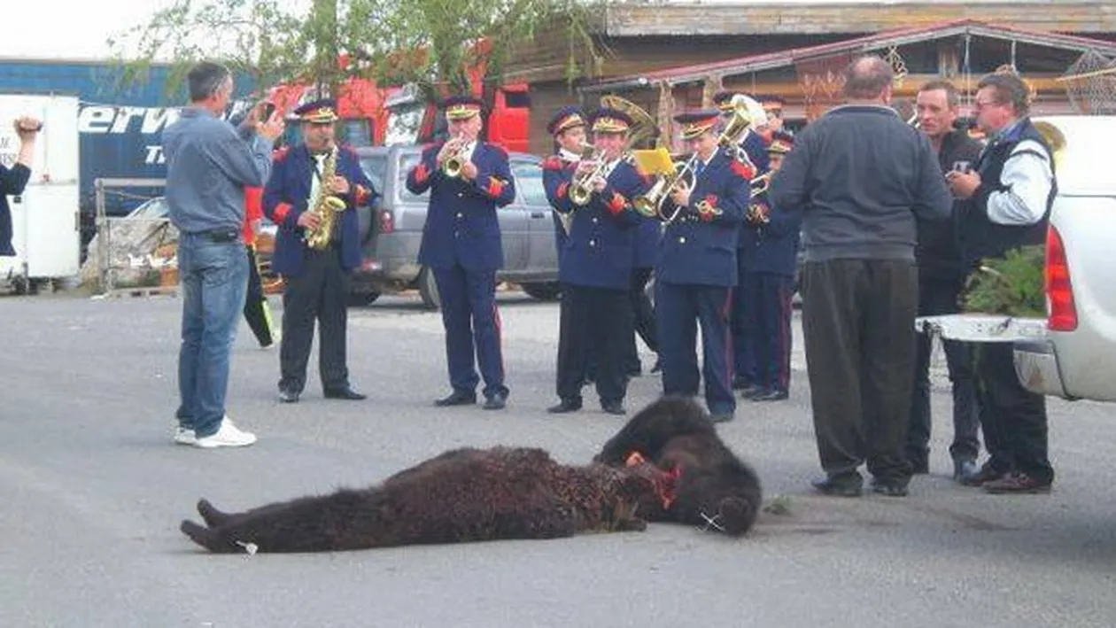 Se intampla in Romania! Imagini socante! A strans lumea ca la urs! A impuscat doua animale, iar apoi a chemat fanfara!