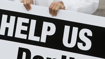 O suta de caini si pisici au cerut ajutor in centrul Londrei