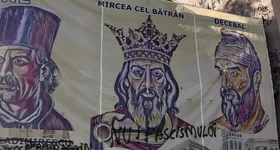 Galerie foto - poza 4