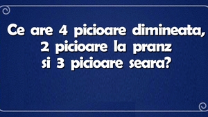 Ghicitoare IQ | Ce are 4 picioare dimineața, 2 picioare la prânz și 3 seara?