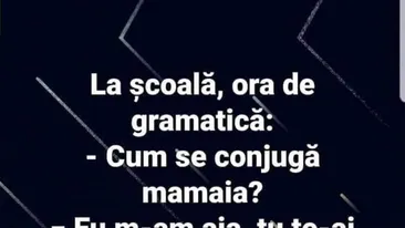 BANC | Ora de gramatică: Cum se conjugă 'mamaia'?