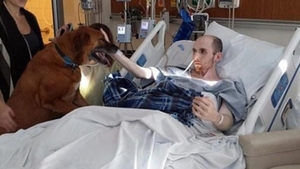 Iti dau lacrimile! Cum isi ia adio un bolnav de cancer de la câinele lui! Imaginile au făcut inconjurul lumii