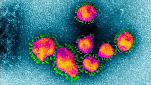 Studiu: Cât timp rezistă coronavirusul în corpul pacienților decedați