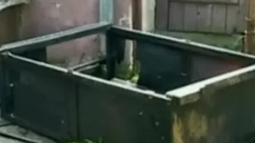 VIDEO I-a explodat televizorul in fata si s-a ales cu arsuri grave