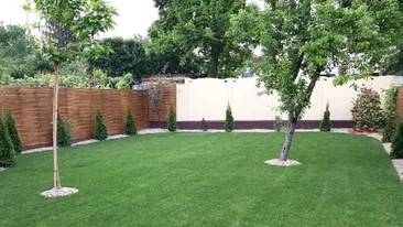 Amendă 100.000 lei dacă faci asta în propria curte. Cum poți intra în legalitate