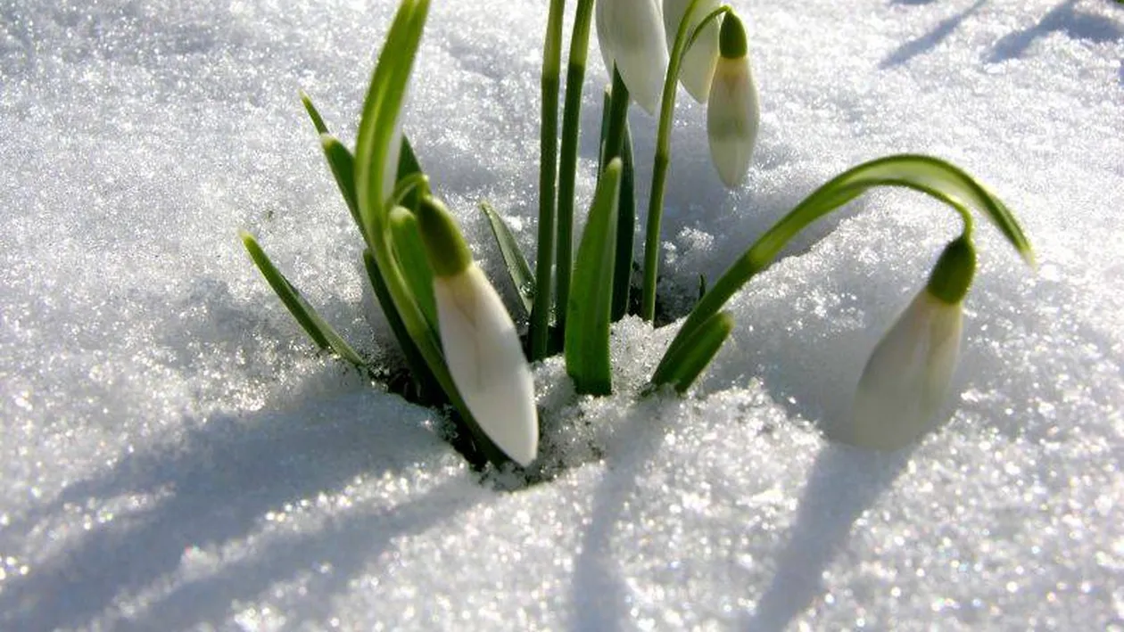 Prognoza meteo pentru 1 martie. ANM, anunț neașteptat pentru săptămâna viitoare