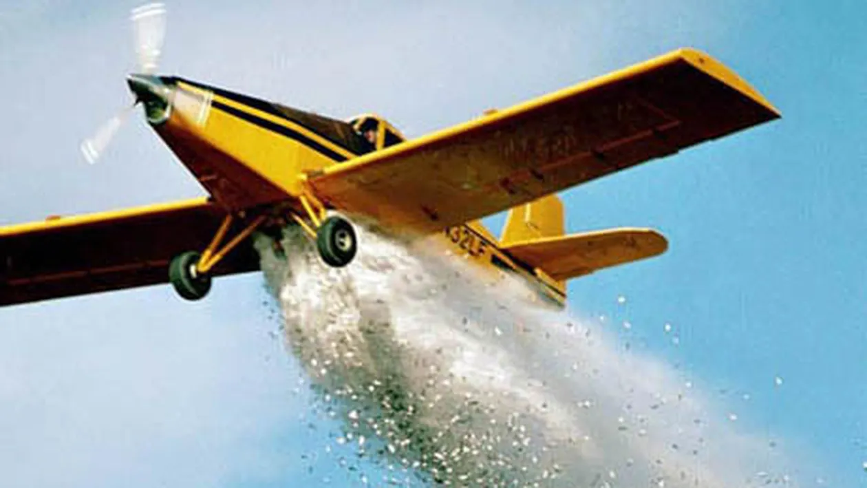 Braşovenii sunt panicaţi după ce s-au trezit că se întâmplă asta! Tone de peşte congelat au fost aruncate din avion