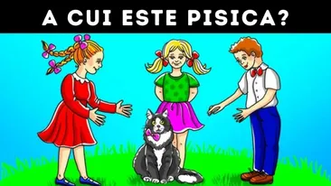 Test de inteligență | Cine este stăpânul pisicii din imagine? Ai fix 10 secunde să ghicești