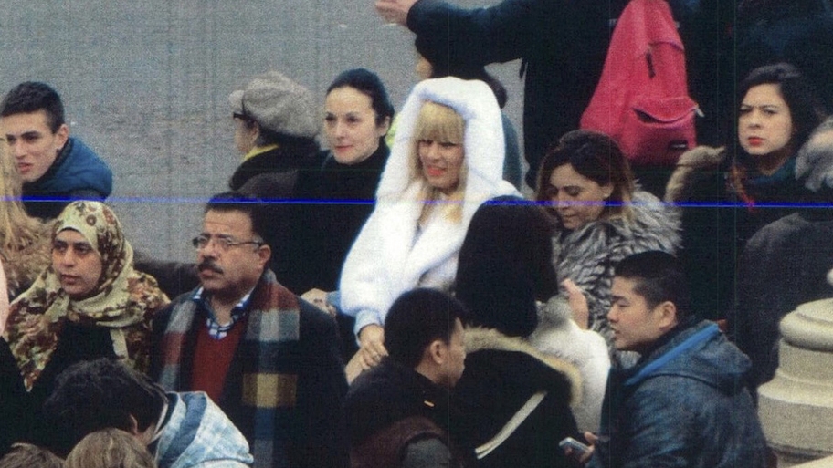 Elena Udrea şi Alina Bica au făcut recurs la instanţa constituţională din Costa Rica