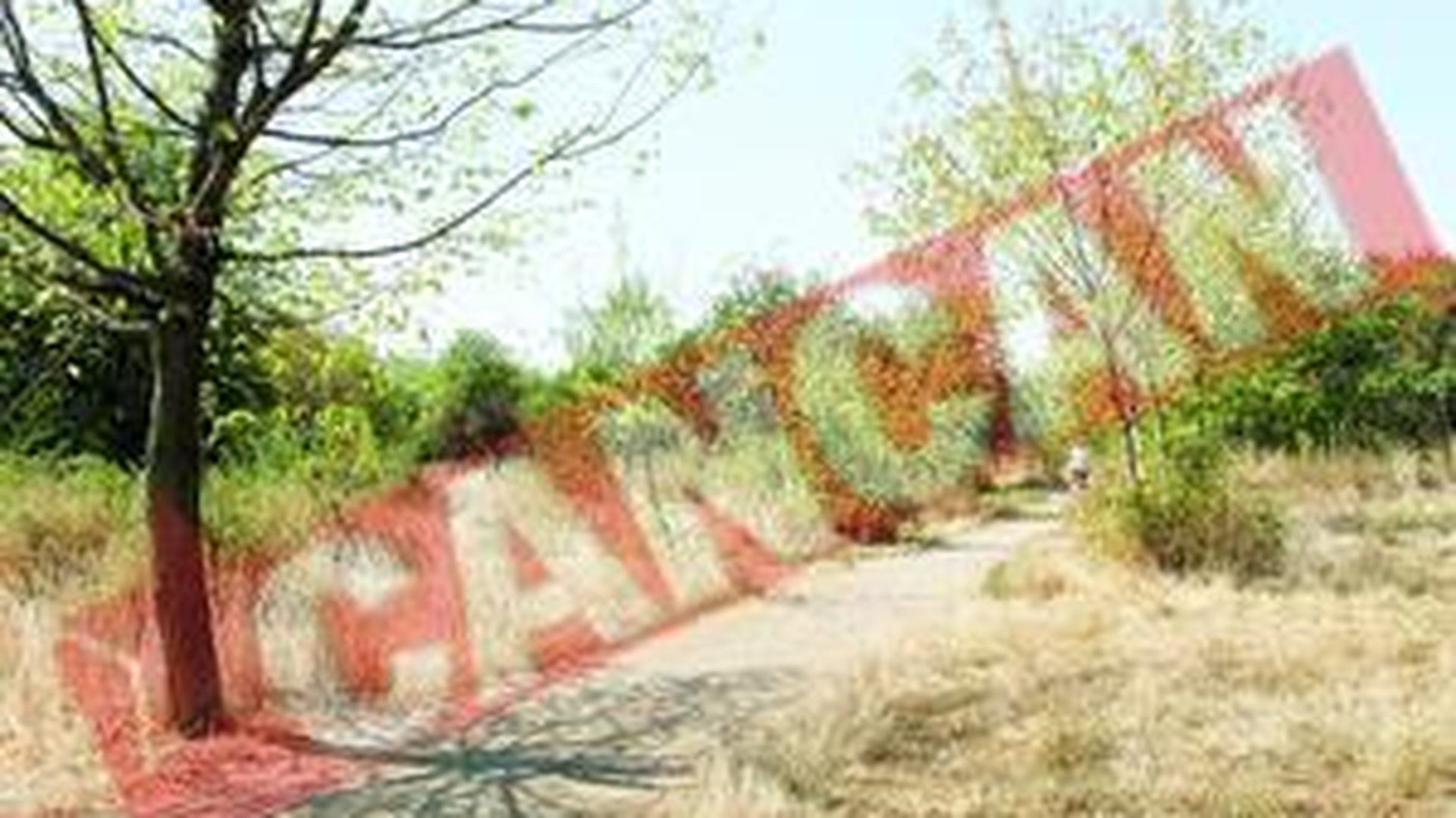 Copacii din parcul Titan au inceput sa se usuce