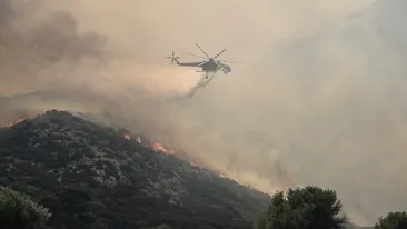 Atena, în pericol! Incendii majore lângă capitala Greciei: zeci de turiști au fost salvați din calea flăcărilor