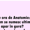 BANC | „Bulă, cum se numesc ultimii dinți care apar în gură?”
