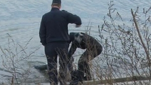 Descoperire socanta in Capitala! O femeie a fost gasita moarta in Lacul Morii