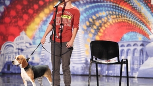 De la "Stapanii au talent" la "Romanii au talent"! Iulia isi dreseaza catelusa beagle de la trei luni