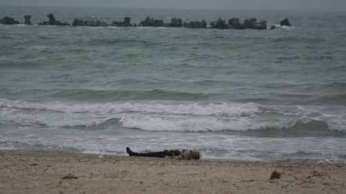 Poliţistul de 27 de ani care s-a înecat la Eforie Nord a murit chiar de ziua logodnicei, cu care se afla la mare!