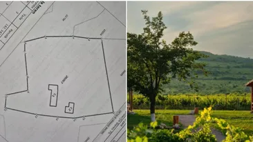 Localitatea în care poți cumpăra o casă cu doar 2182 de euro. Terenul are peste 2500 de metri pătrați