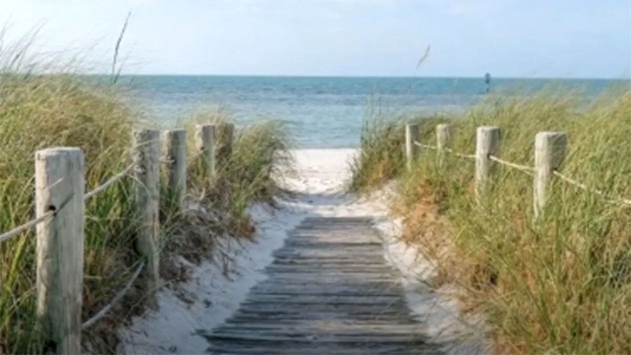 Iluzie optică virală | Găsiți crabul ascuns în această fotografie! Recordul este de 7 secunde