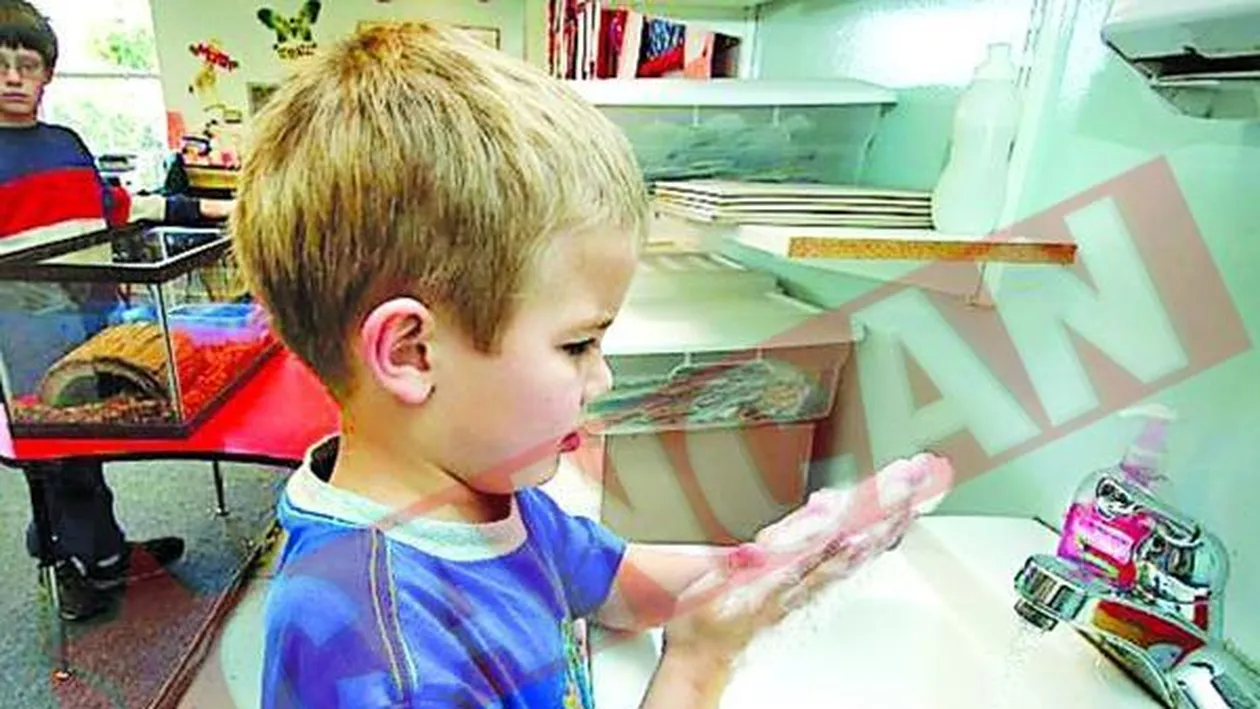 Ce trebuie sa stiti despre salmonella