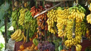 O româncă din Spania a devenit virală pe TikTok gătind cu alimente găsite în gunoi