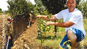 Povestea minerului care a ajuns să dețină cea mai mare pepinieră din Oltenia