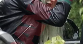 Galerie foto - poza 1