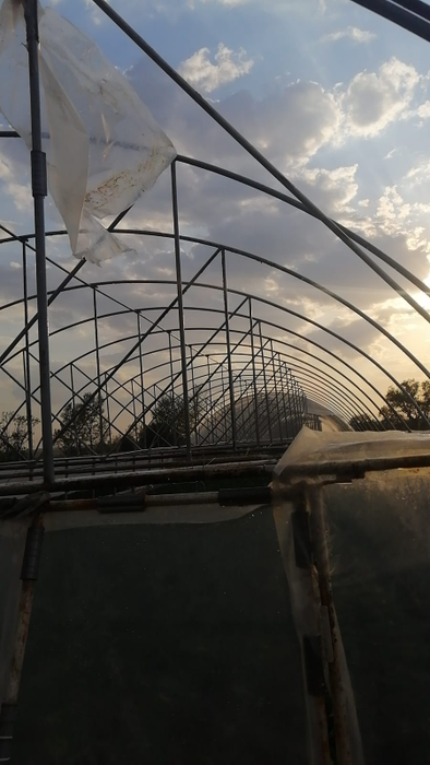 De Paște, mai multe case din Olt au rămas fără acoperișuri din cauza vijeliei