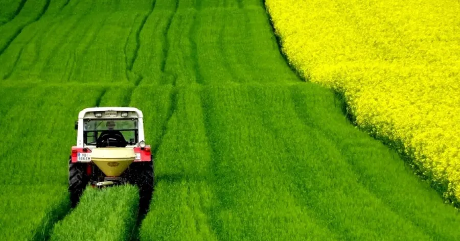 Procentul nu este unul foarte mare