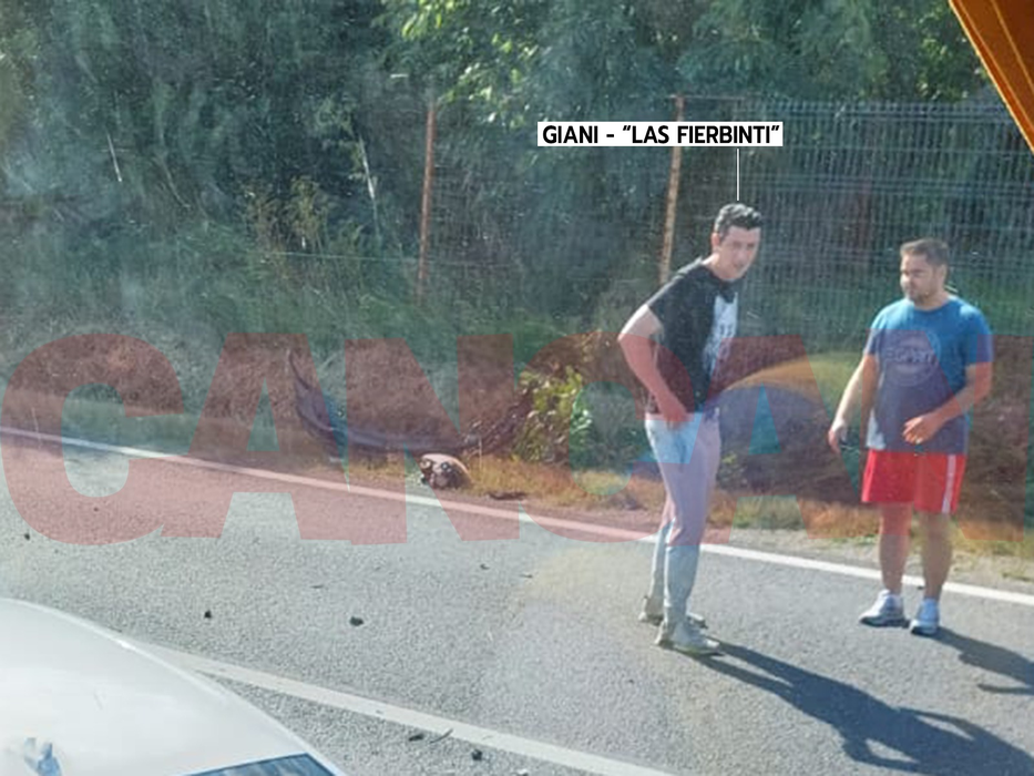 Giani din Las Fierbinți, la locul accidentului