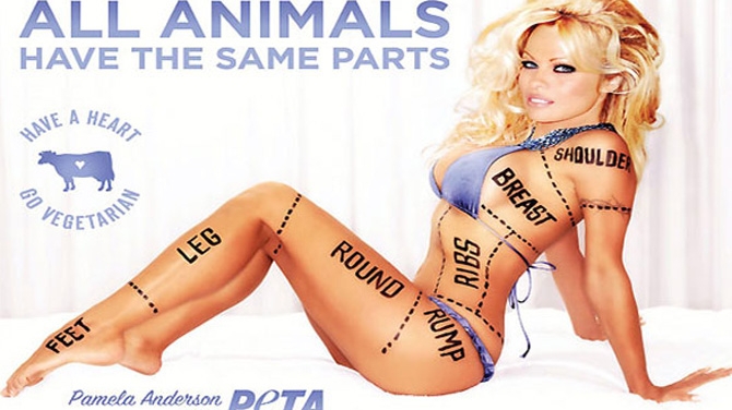 Pamela Anderson, interzisa in Canada
