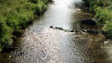 Un copil de sase ani a disparut dupa ce a cazut cu caruta intr-un rau