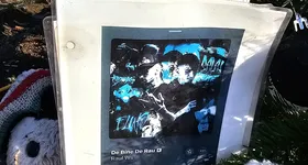 Galerie foto - poza 2